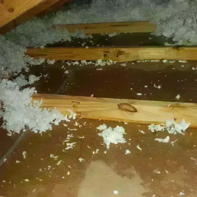 Attic Water Damage in Naples, TX