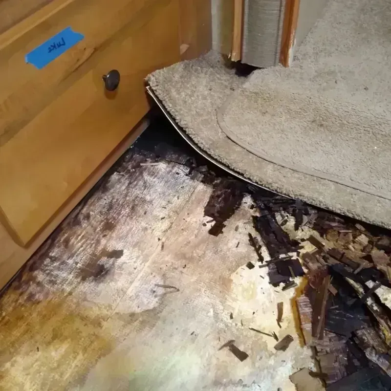 Wood Floor Water Damage in Naples, TX